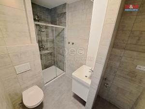Pronájem bytu 2+1, Milevsko, Sažinova, 52 m2