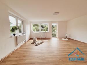 Prodej apartmánu, Stará Paka - Ústí, 260 m2