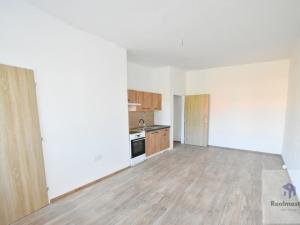Pronájem bytu 1+1, Most, Javorová, 33 m2