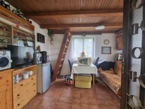 Prodej chaty, Hradec Králové - Plácky, Zahrádkářská osada U Labe, 21 m2