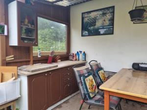 Prodej chaty, Hradec Králové - Plácky, Zahrádkářská osada U Labe, 21 m2