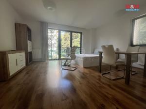 Pronájem bytu 1+kk, Ostrava - Poruba, Ukrajinská, 46 m2
