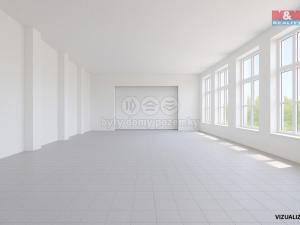 Pronájem obchodního prostoru, Březová, 558 m2