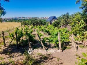 Prodej zahrady, Znojmo, Kuchařovická, 1132 m2
