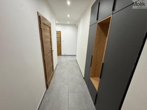 Pronájem bytu 3+kk, Most, Vítězslava Nezvala, 55 m2