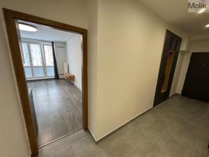 Pronájem bytu 3+kk, Most, Vítězslava Nezvala, 55 m2