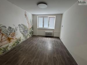 Pronájem bytu 3+kk, Most, Vítězslava Nezvala, 55 m2