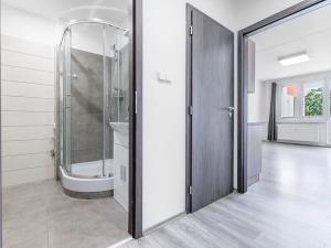 Pronájem bytu 1+kk, České Budějovice, Dlouhá, 37 m2
