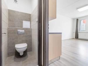 Pronájem bytu 1+kk, České Budějovice, Dlouhá, 37 m2