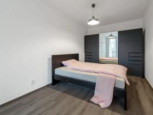 Pronájem bytu 2+kk, Praha - Žižkov, Olgy Havlové, 54 m2
