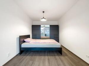 Pronájem bytu 2+kk, Praha - Žižkov, Olgy Havlové, 54 m2