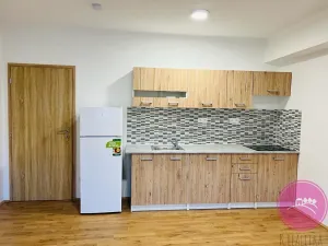 Pronájem bytu 1+kk, Olomouc, Uhelná, 40 m2