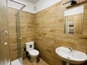 Pronájem bytu 1+kk, Olomouc, Uhelná, 40 m2