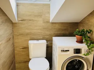 Pronájem bytu 1+kk, Olomouc, Uhelná, 40 m2