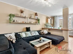 Prodej bytu 3+1, Mladá Boleslav - Mladá Boleslav II, Na Radouči, 82 m2