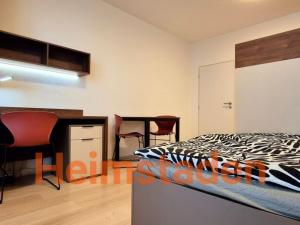 Pronájem bytu 1+kk, Plzeň - Jižní Předměstí, Magisterská, 29 m2