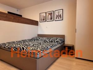 Pronájem bytu 1+kk, Plzeň - Jižní Předměstí, Magisterská, 29 m2