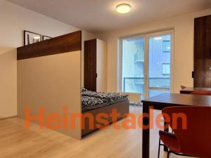 Pronájem bytu 1+kk, Plzeň - Jižní Předměstí, Magisterská, 29 m2