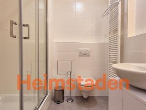 Pronájem bytu 1+kk, Plzeň - Jižní Předměstí, Magisterská, 29 m2