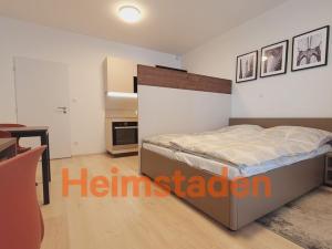 Pronájem bytu 1+kk, Plzeň - Jižní Předměstí, Magisterská, 27 m2