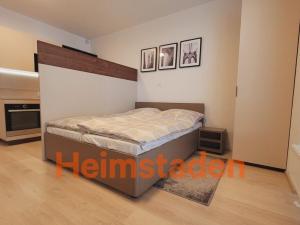 Pronájem bytu 1+kk, Plzeň - Jižní Předměstí, Magisterská, 27 m2