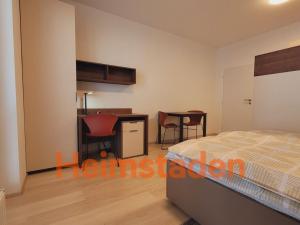 Pronájem bytu 1+kk, Plzeň - Jižní Předměstí, Magisterská, 27 m2