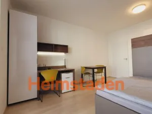 Pronájem bytu 1+kk, Plzeň - Jižní Předměstí, Magisterská, 29 m2