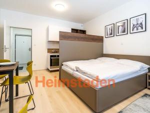 Pronájem bytu 1+kk, Plzeň - Jižní Předměstí, Magisterská, 27 m2