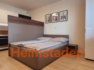 Pronájem bytu 1+kk, Plzeň - Jižní Předměstí, Magisterská, 27 m2
