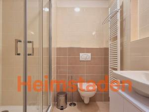 Pronájem bytu 1+kk, Plzeň - Jižní Předměstí, Magisterská, 27 m2