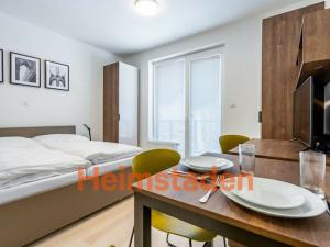 Pronájem bytu 1+kk, Plzeň - Jižní Předměstí, Magisterská, 41 m2