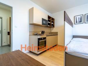Pronájem bytu 1+kk, Plzeň - Jižní Předměstí, Magisterská, 41 m2