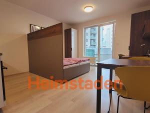 Pronájem bytu 1+kk, Plzeň - Jižní Předměstí, Magisterská, 41 m2