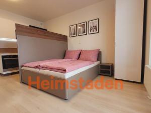 Pronájem bytu 1+kk, Plzeň - Jižní Předměstí, Magisterská, 41 m2