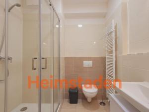 Pronájem bytu 1+kk, Plzeň - Jižní Předměstí, Magisterská, 41 m2
