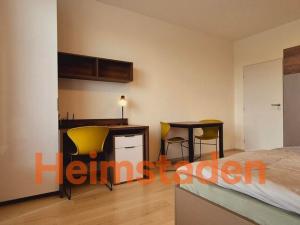 Pronájem bytu 1+kk, Plzeň - Jižní Předměstí, Magisterská, 29 m2