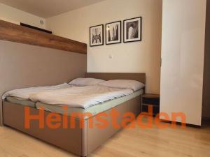 Pronájem bytu 1+kk, Plzeň - Jižní Předměstí, Magisterská, 29 m2