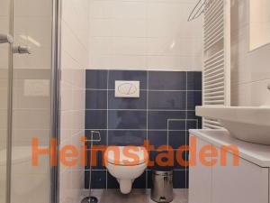 Pronájem bytu 1+kk, Plzeň - Jižní Předměstí, Magisterská, 29 m2