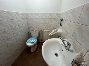 Pronájem bytu 1+1, Moravský Krumlov, Tiskárenská, 36 m2