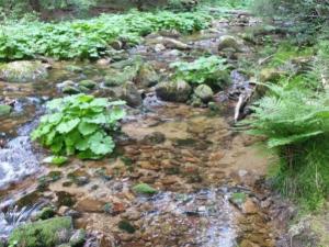 Prodej rodinného domu, Desná - Desná III, Riedlova, 147 m2