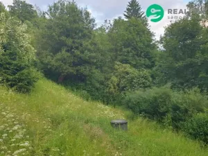 Prodej rodinného domu, Desná - Desná III, Riedlova, 147 m2