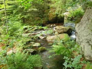 Prodej rodinného domu, Desná - Desná III, Riedlova, 147 m2