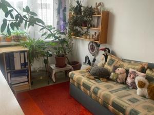 Pronájem pokoje, Praha - Kobylisy, Taussigova, 20 m2