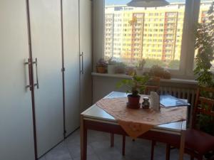 Pronájem pokoje, Praha - Kobylisy, Taussigova, 20 m2