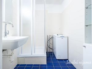 Pronájem bytu 3+kk, Praha - Žižkov, Lupáčova, 62 m2