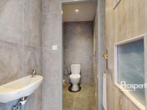 Pronájem bytu 3+1, Košťany, Smetanova, 83 m2