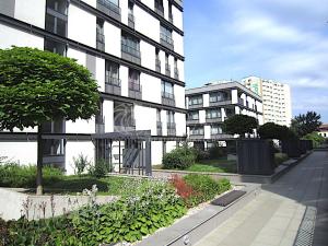 Pronájem bytu 2+kk, Praha, 55 m2
