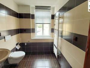 Pronájem bytu 1+1, Františkovy Lázně, Americká, 40 m2