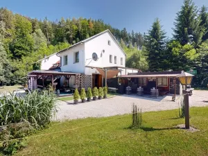 Prodej chaty, Zábřeh - Dolní Bušínov, 600 m2