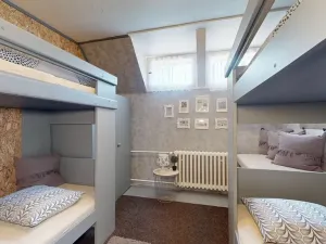 Prodej chaty, Zábřeh - Dolní Bušínov, 600 m2